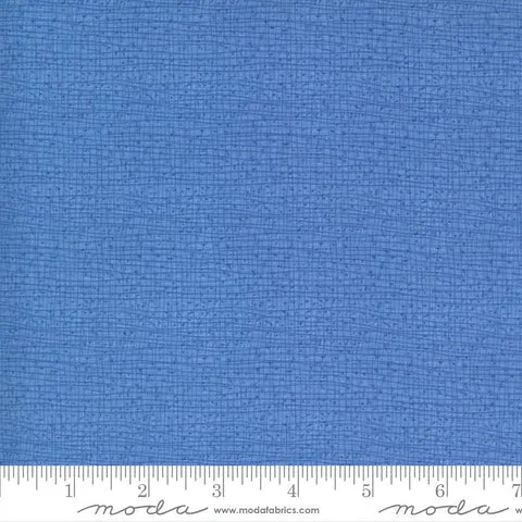 Blue -  Solid and Semi-Solid Blenders