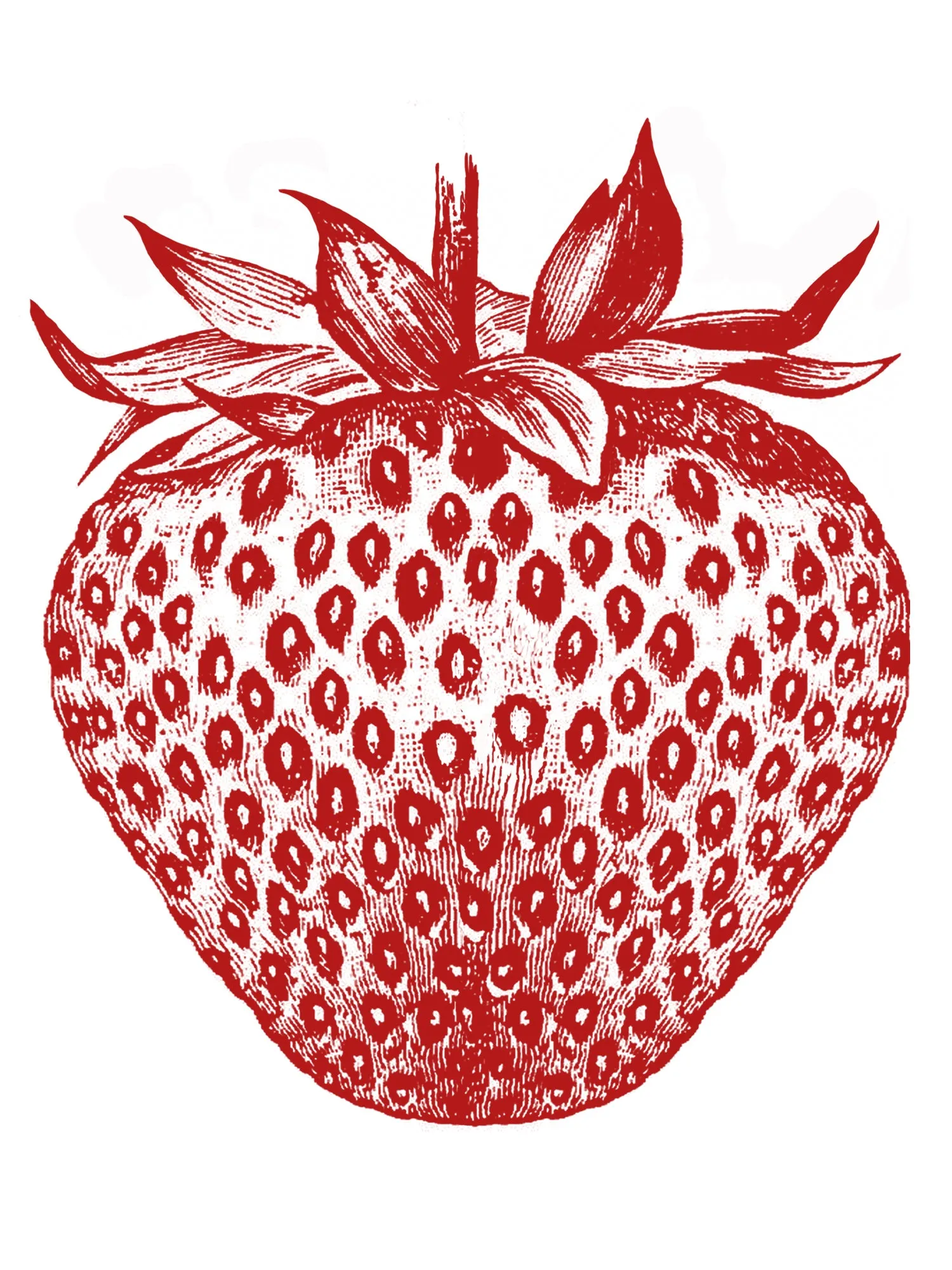 Calliope Tee - Strawberry