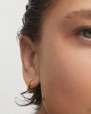 GRID 1 Vivi Hoops