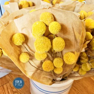 Natural Yellow Dried Billy Button Craspedia Bunch