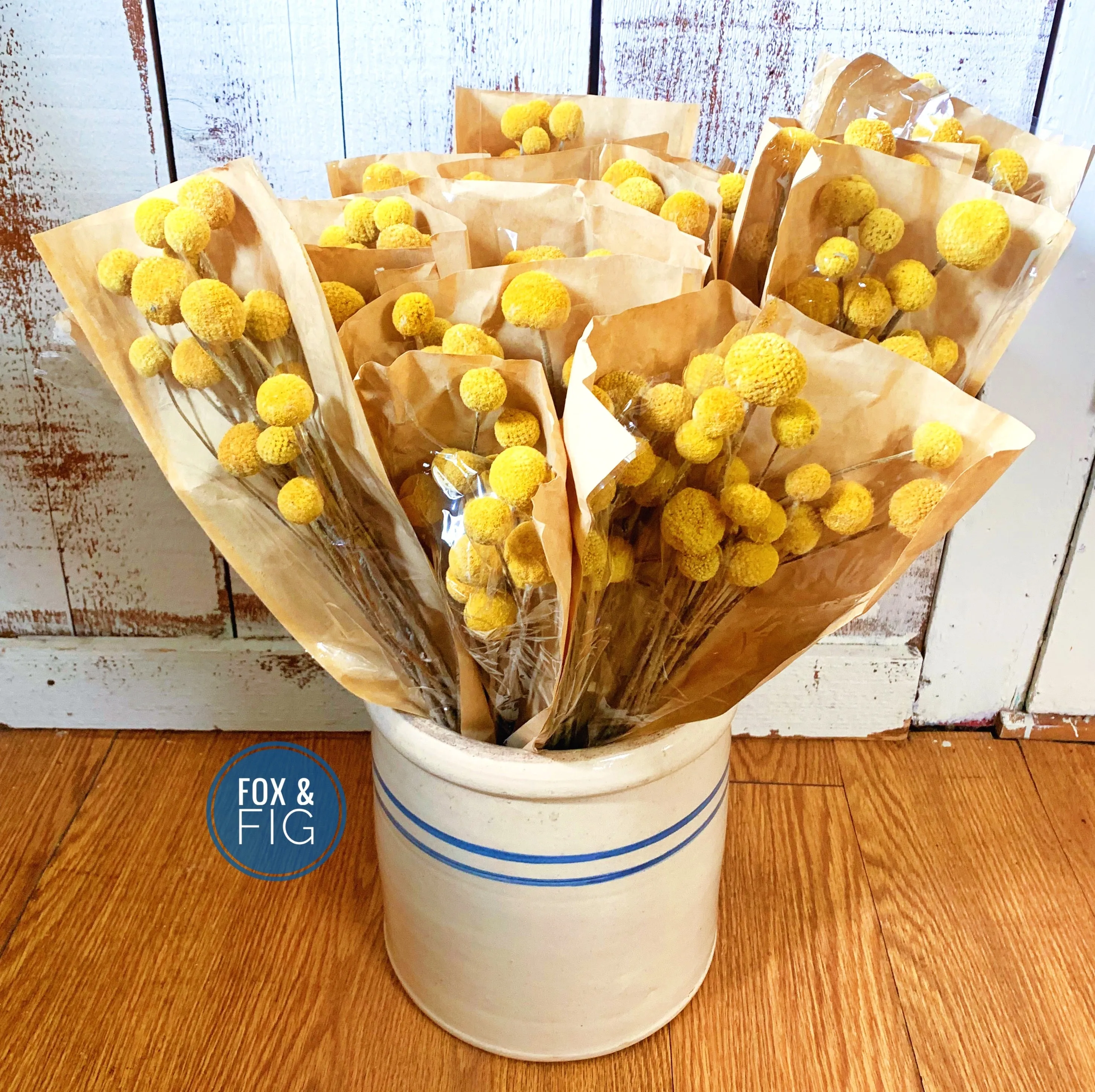 Natural Yellow Dried Billy Button Craspedia Bunch